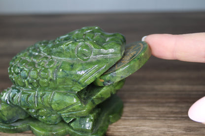 New Jade Money Frog