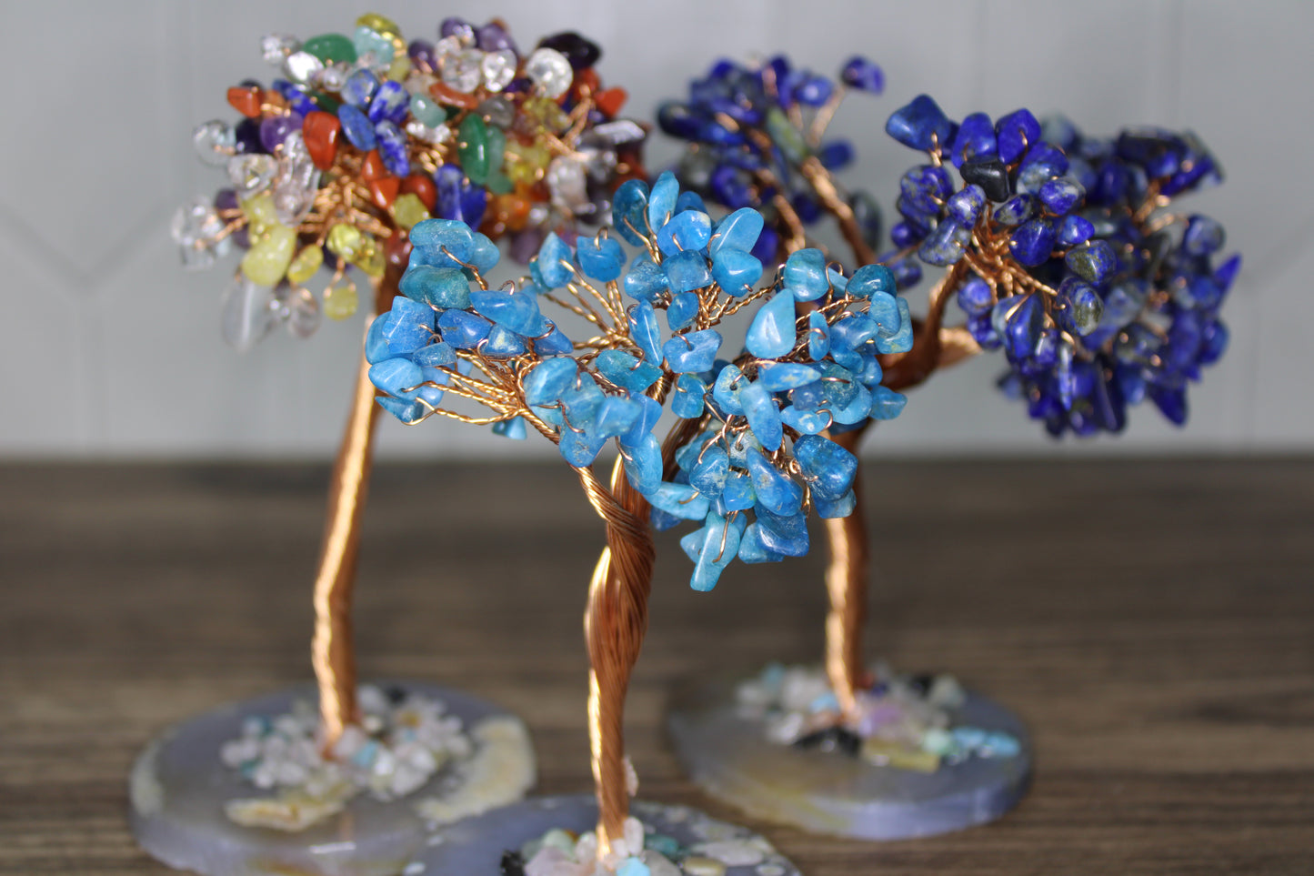 Apatite Tree