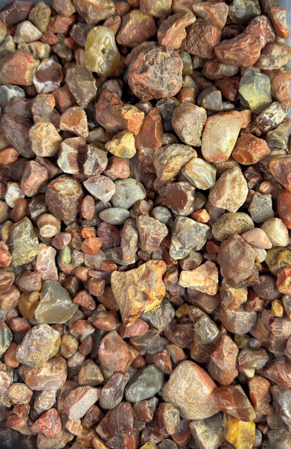 Lake Superior agate pieces in a scoop bin