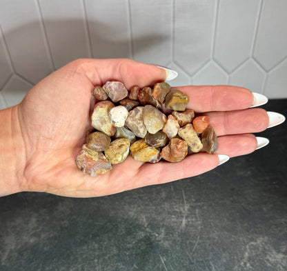 Example handful of Lake Superior agate pieces from one scoop